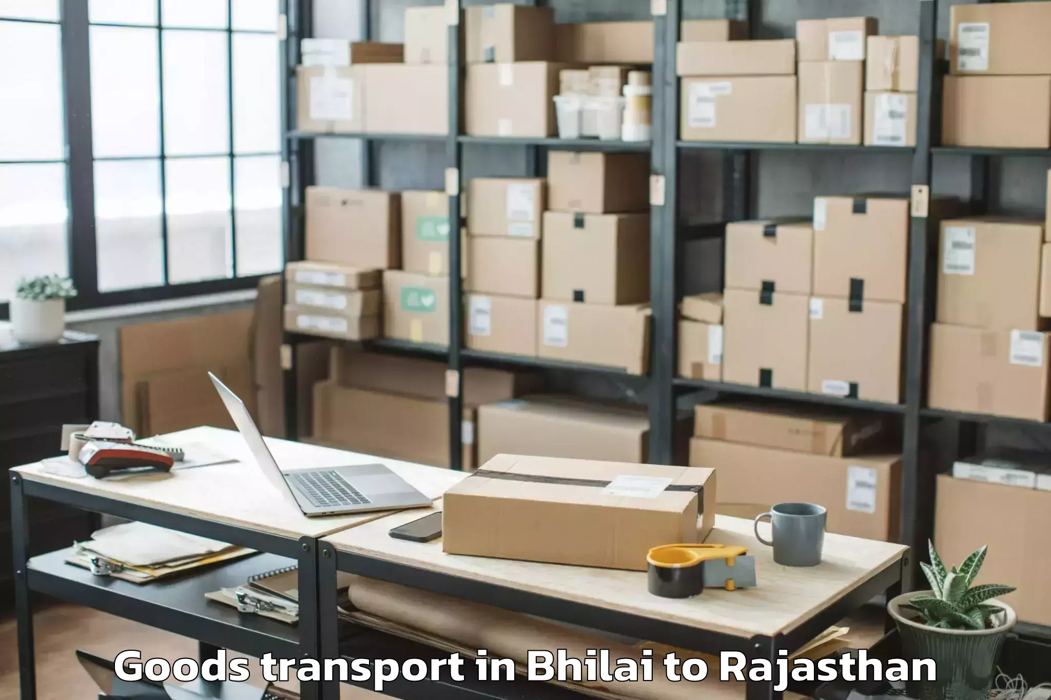 Book Your Bhilai to Bisalpur Goods Transport Today